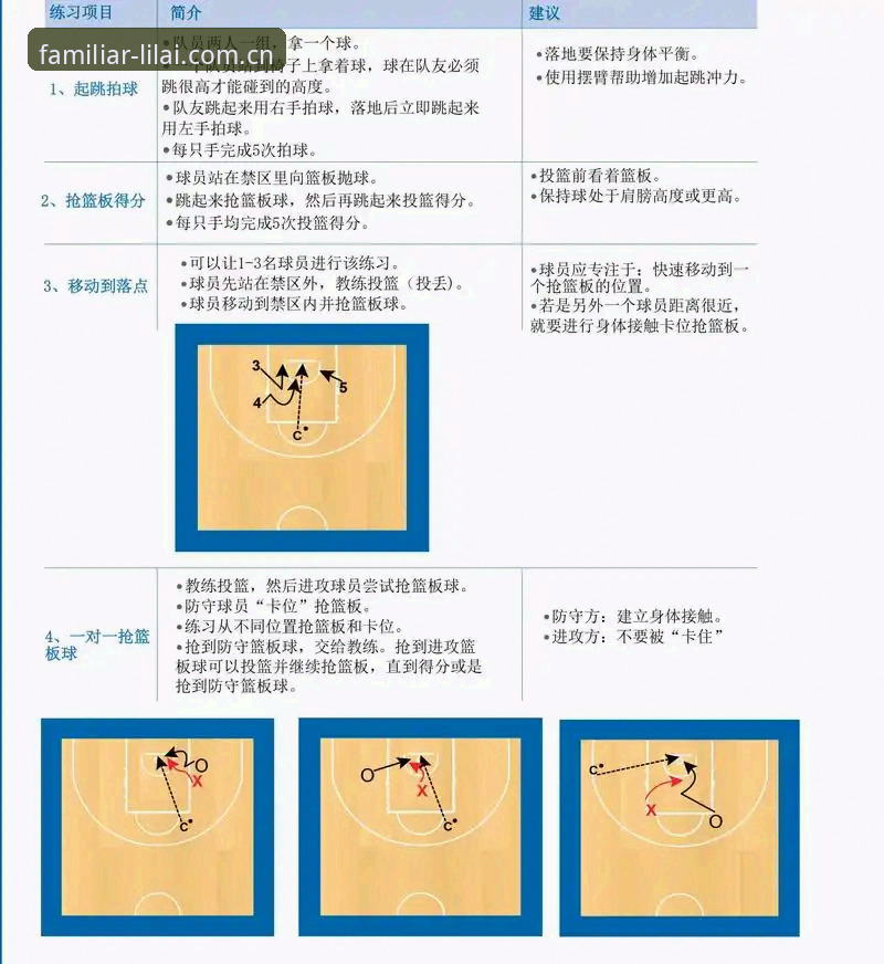 解锁利来体育平台的实用技巧：从新手到老手的体育资讯获取指南