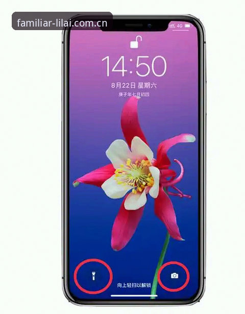 熟悉的习惯在这里快速访问iOS版 利来体育平台iOS版vs网页版:哪个更适合“熟悉的习惯在这里快速访问”?